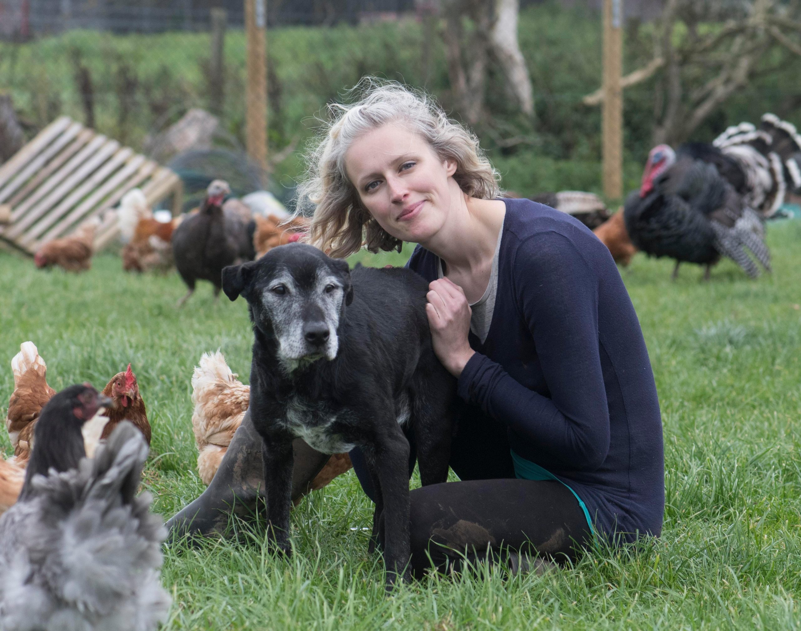 Alexis Fleming em companhia de um cachorro com várias aves em volta em um asilo para animais doentes na Escócia