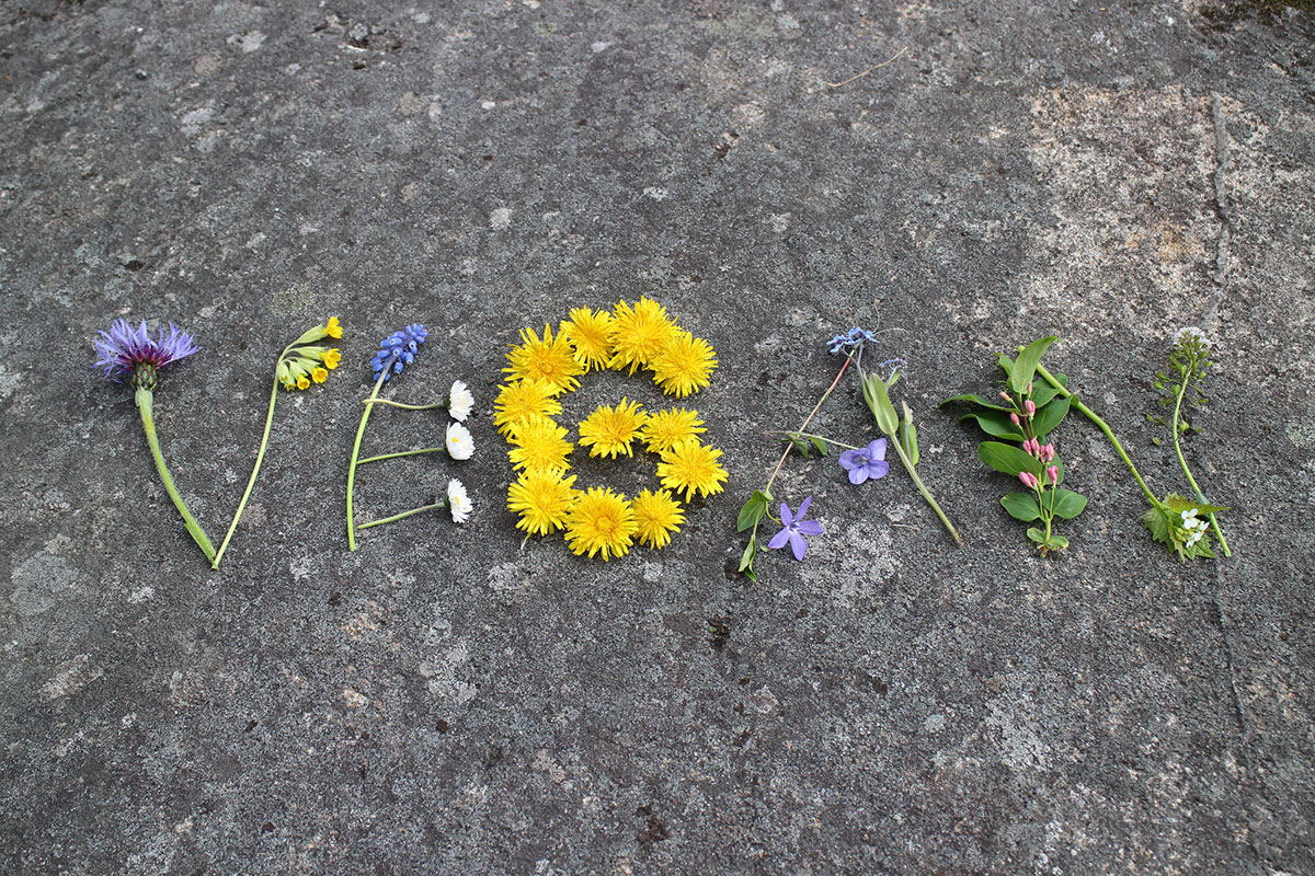 A palavra "vegan" escrita com flores e plantas em uma calçada de cimento
